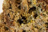 Wulfenite & Green Botryoidal Mimetite Association - Mexico #372093-1
